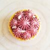 tartelette fondant rocher praliné 80 g cire de soja végétale artisanale fait main phénaïsens Fondant Tartelette Rocher Praliné